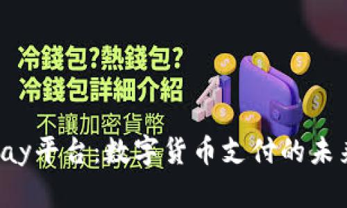 CoinPay平台：数字货币支付的未来之道